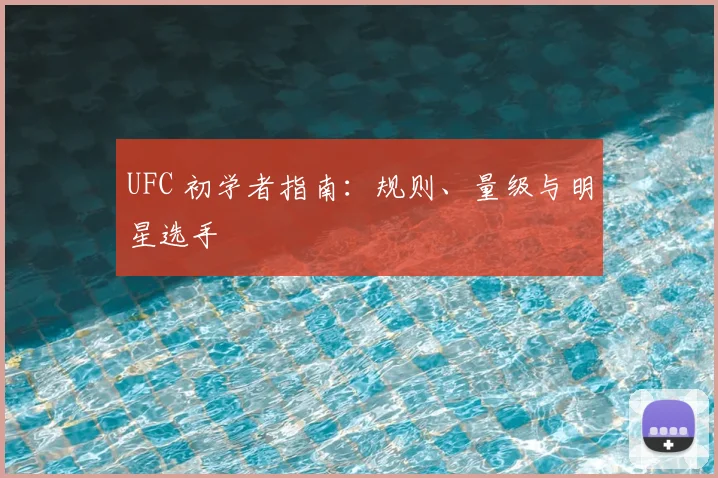 UFC 初学者指南:规则、量级与明星选手