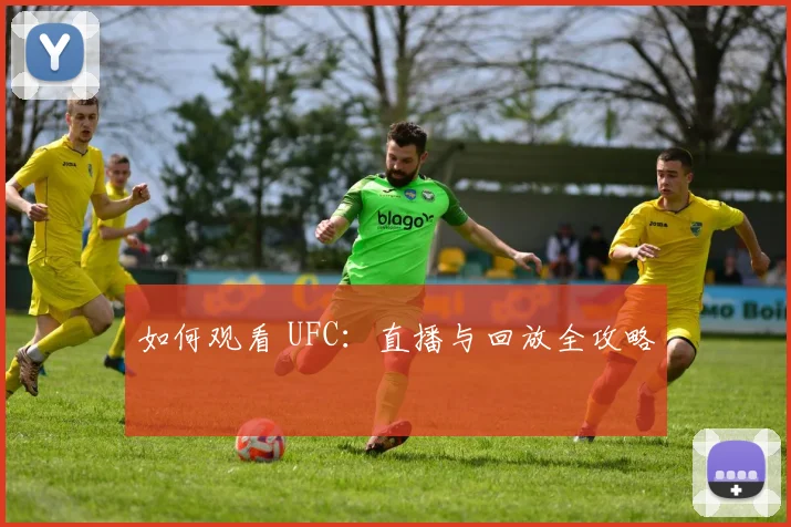 如何观看 UFC:直播与回放全攻略